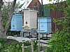 hive -66.jpg hive -66.jpg